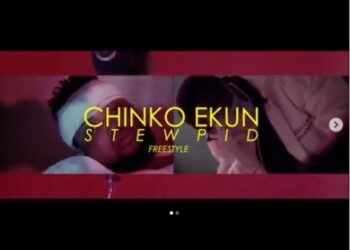 Chinko Stewpid cover
