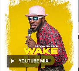 Broda Shaggi - Wake Up 2 Wake Up art