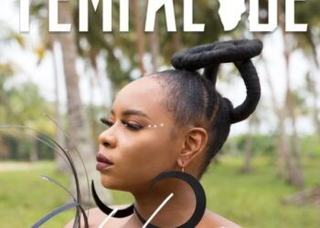 Yemi Alade Home Art