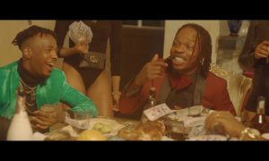 Naira Marley - Mafo video