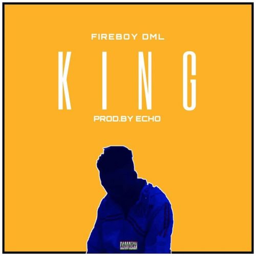 Fireboy - King