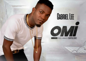 GABRIEL LEE omi cover