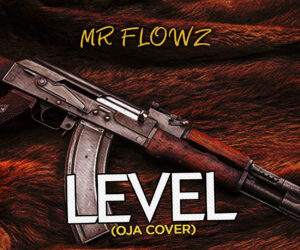 MR FLOWZ LEVEL 300x300