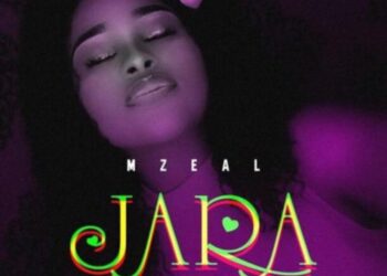 Mzeal Jara mp3 image