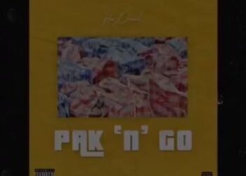 PaknGo art