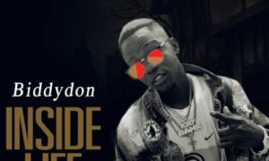 Biddydon - "Inside Life"