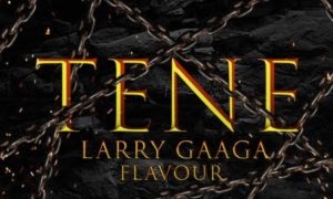 Larry Gaaga, Flavour, Tene