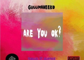 Guccimaneeko - "Are You Ok?"