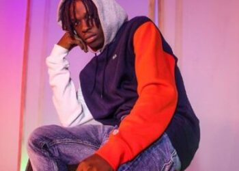 fireboy dml