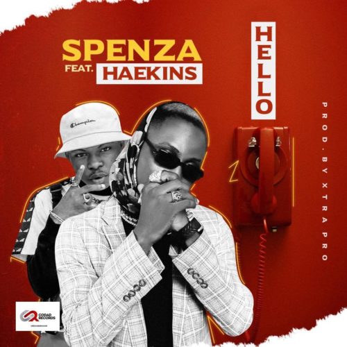 Danny Spenza - Hello Ft. Haekins