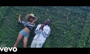 Video "BROCOS"