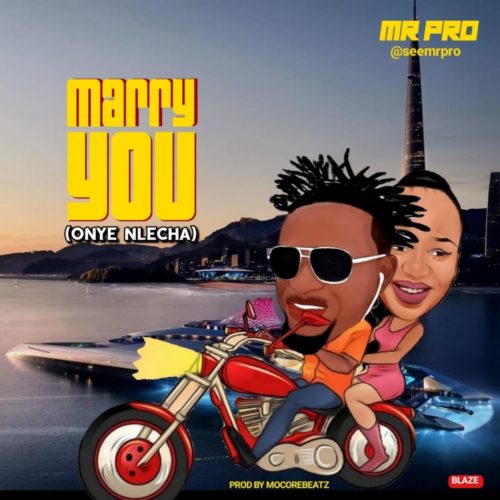 Mr. PRO - Marry You