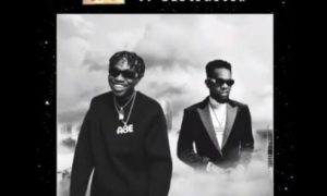 Zlatan - "Distraction" ft. Patoranking