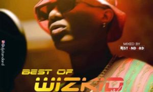 DJ Standard – Best Of Wizkid 2019 (Mix)