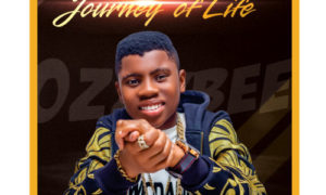 OzzyBee's Journey of Life