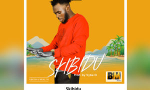 DESTA - "Skibidu"