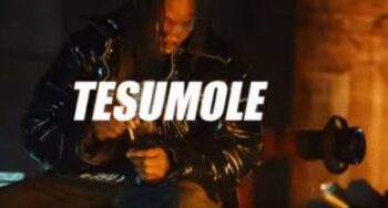 Tesumole cover