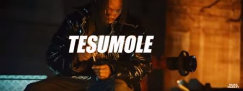 [Video] Naira Marley - "Tesumole"