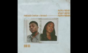 Reekado Banks - "Rora" (Remix) ft. Lavaud