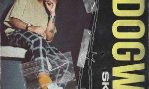 Skaa - Odogwu