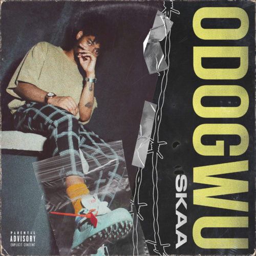 Skaa - Odogwu