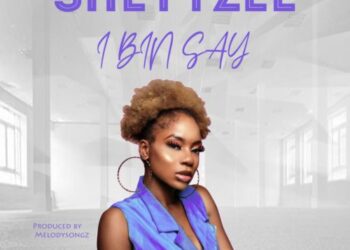 Sheyyzee - I Bin Say