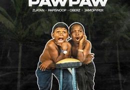 Zlatan - "Unripe Pawpaw"