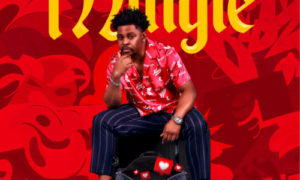 Mr Yomi – Mingle