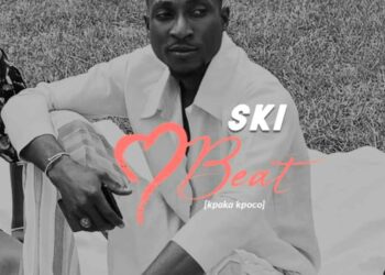 Ski Heartbeat Artwork