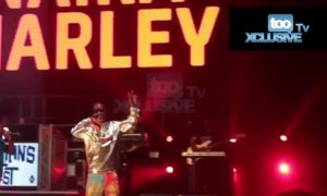 Naira Marley, Marlian Fest UK