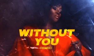DJ Tunez – "Without You" (Remix) ft. Omawumi