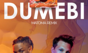 Rema x Matoma – "Dumebi" (Remix)