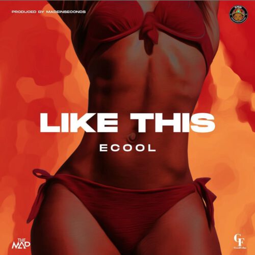 DJ Ecool - Like This 1 DJ