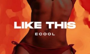DJ Ecool – Like This