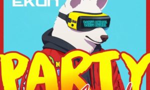 Chinko Ekun - Party Animal
