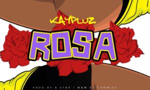 Kaypluz - Rosa
