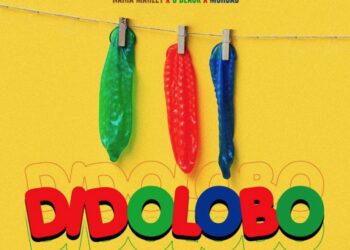 Naira Marley x C Blvck x Mohbad - Didolobo (Prod. Rexxie) 2 Naira Marley x Cblvck x Mohbad - "Didolobo"