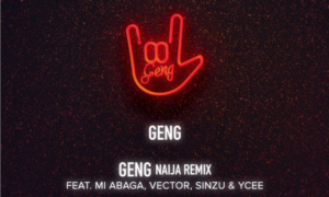 Mayorkun – "Geng" ft. M.I Abaga, Vector, Sinzu, Ycee (Naija Remix)
