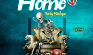 DJ Lamp – "Dance At Home Party Mix" ft. HypeNinja Analysis
