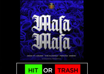 hit or trash