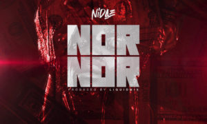 Nidae - Nor Nor