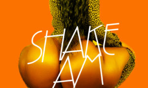 GMoney Imadiyi - Shake Am