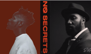 E Kelly x Mr Eazi - Need Somebody