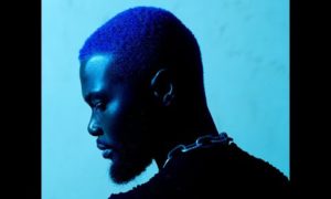 WurlD - "National Anthem/Growing Wings"