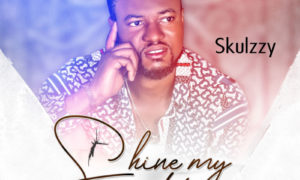 Skulzzy - Shine My Light