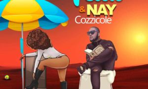 Cozzicole - Yeah & Nay