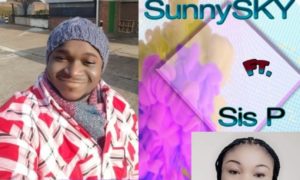 SunnySky Obari Momo Sis P