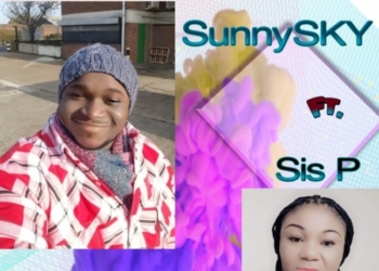 SunnySky Obari Momo Sis P