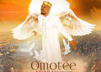 OMOTEE BIRD 2