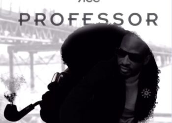 9ice Professor